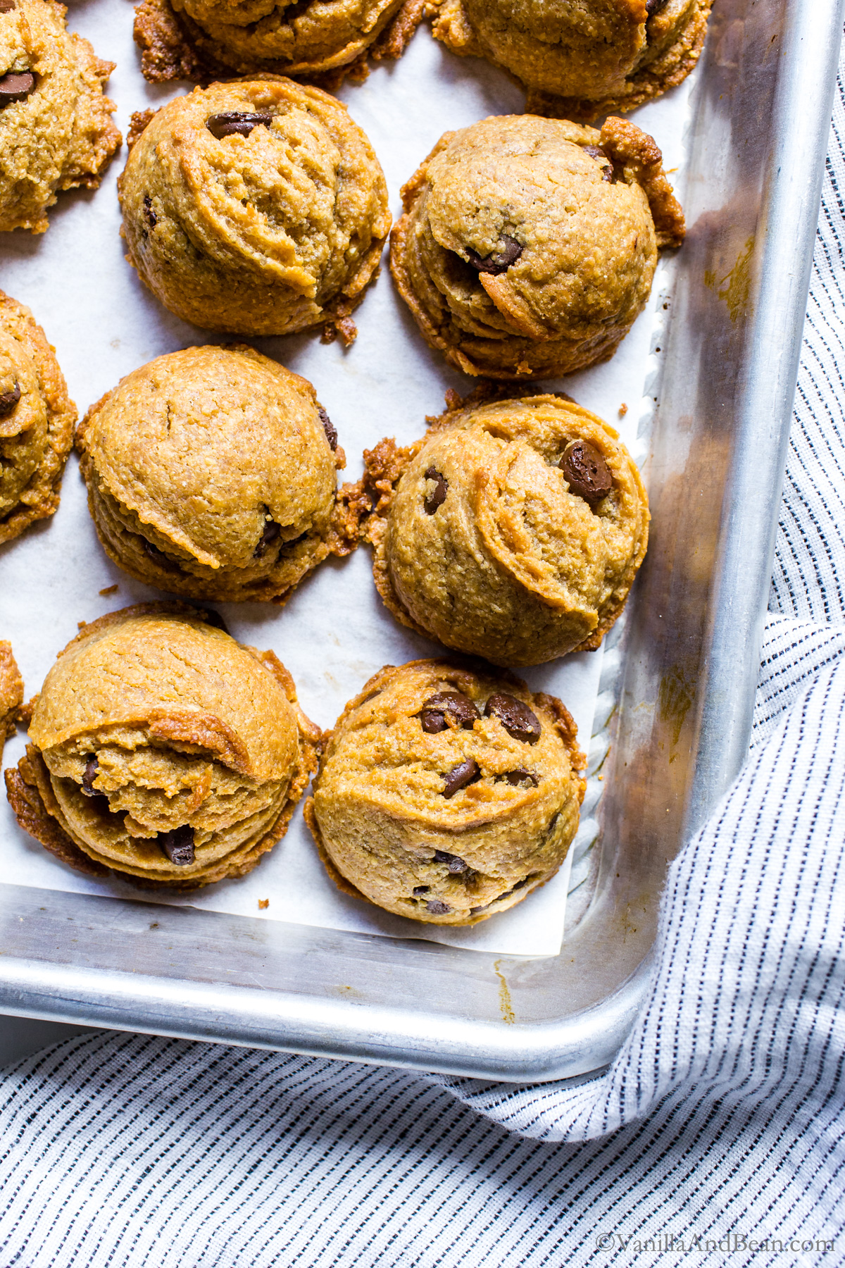 Chewy Flourless Peanut Butter Chocolate Chip Cookies: Simple Recipe